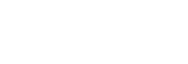 braun logo
